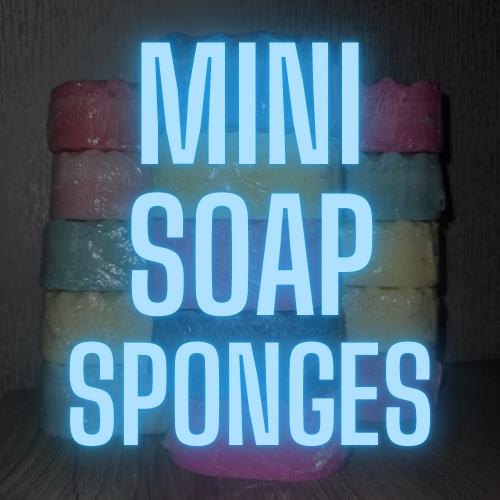 Mini Soap Sponges