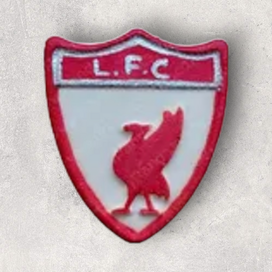 FOOTBALL BADGE L