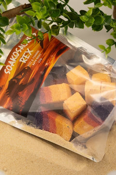 Soakosaurus Rex Rocks