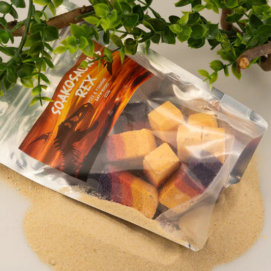 Soakosaurus Rex Rocks