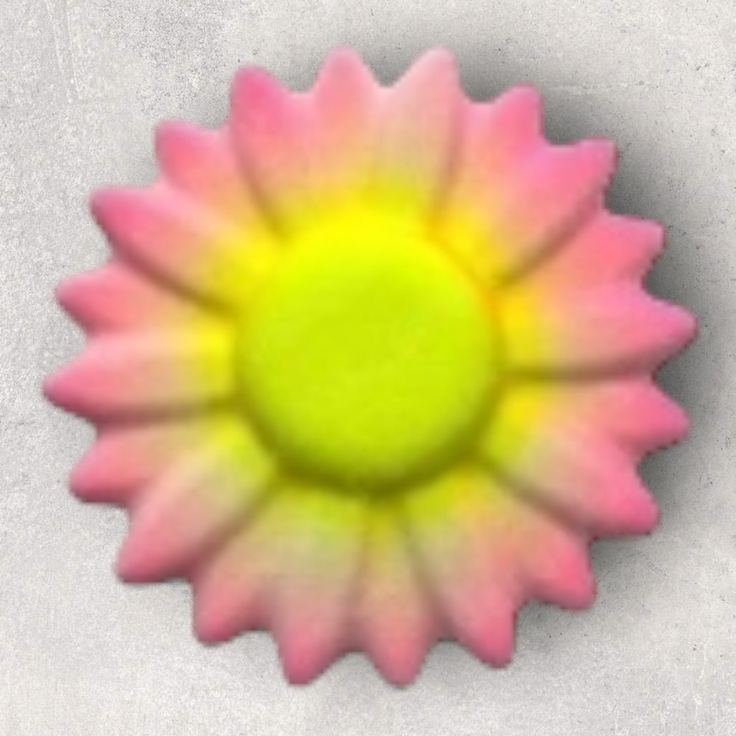 DAISY