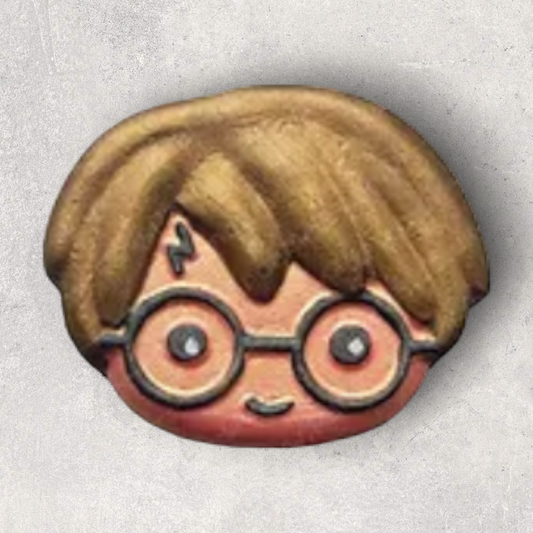 WIZARD BOY H