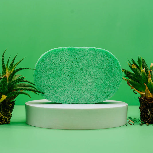 Mango & Papaya Soap Sponge