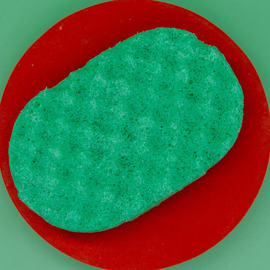Watermelon Soap Sponge
